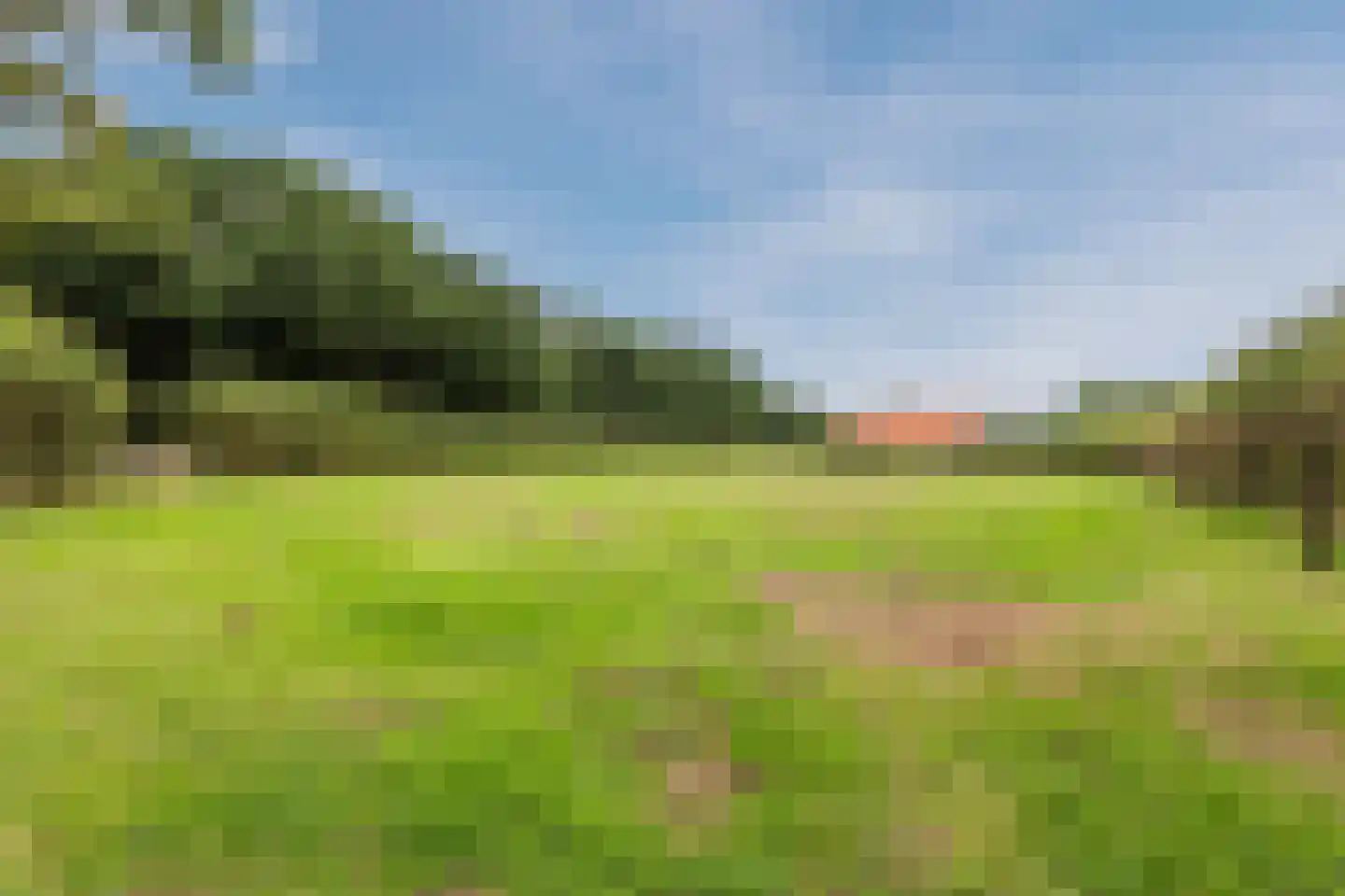 Woestenes 7 Eibergen thumbnail 81