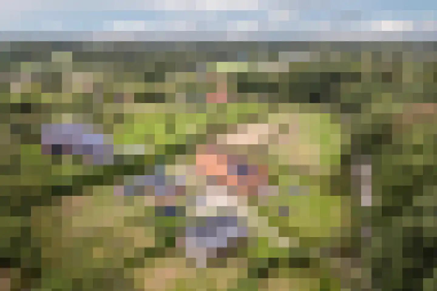 Woestenes 7 Eibergen thumbnail 82