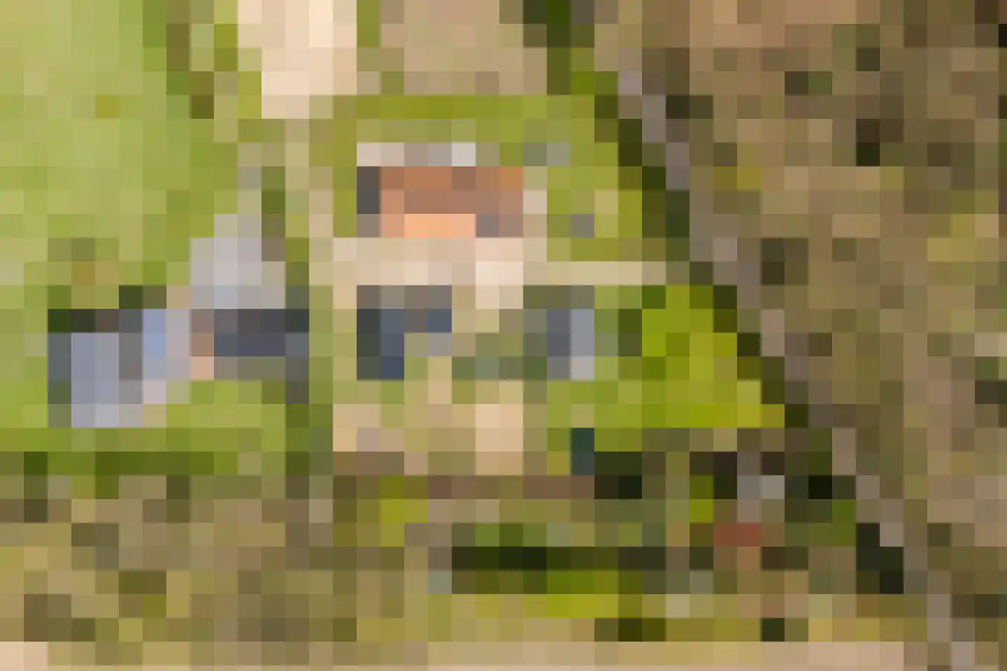 Woestenes 7 Eibergen thumbnail 83