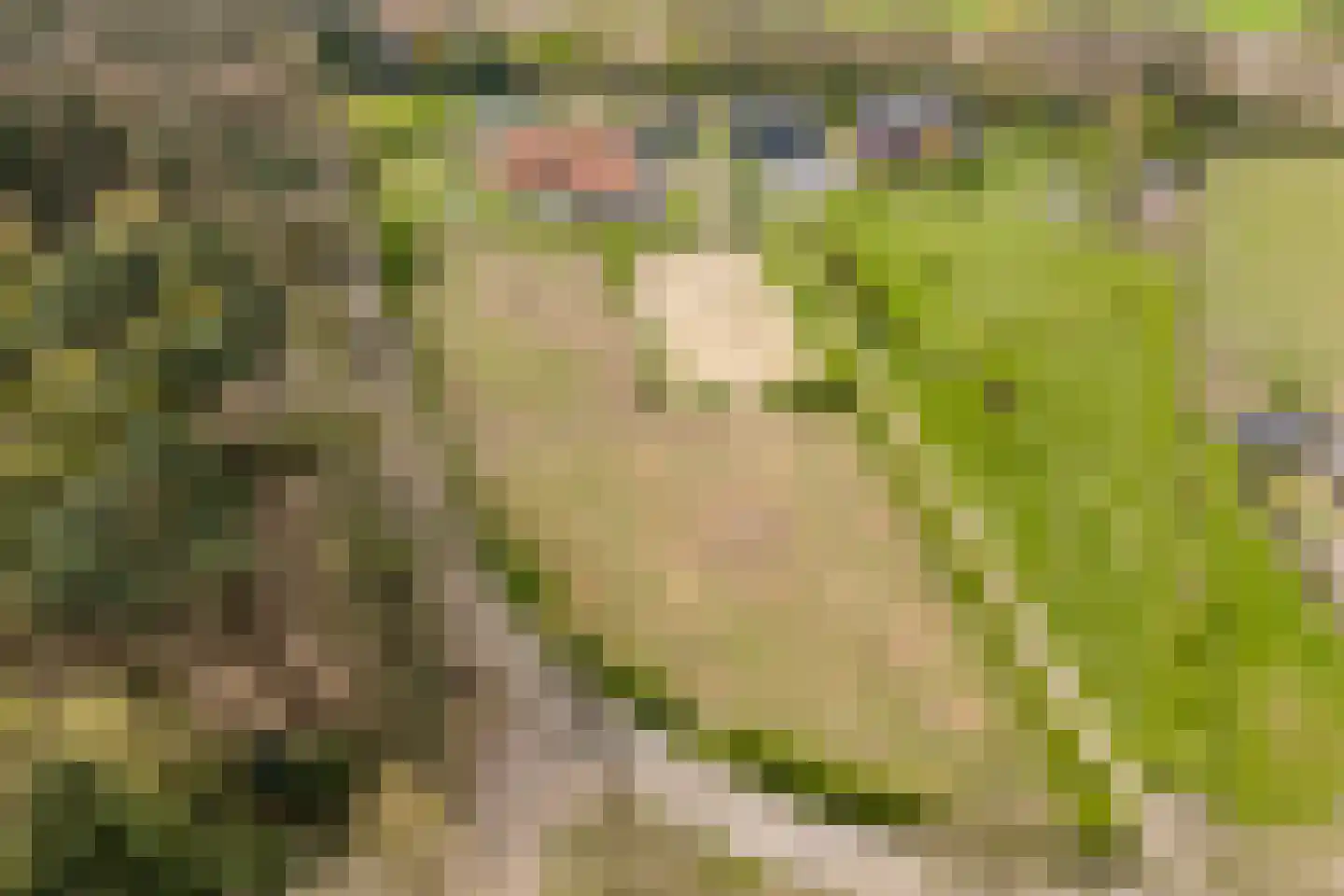 Woestenes 7 Eibergen thumbnail 84