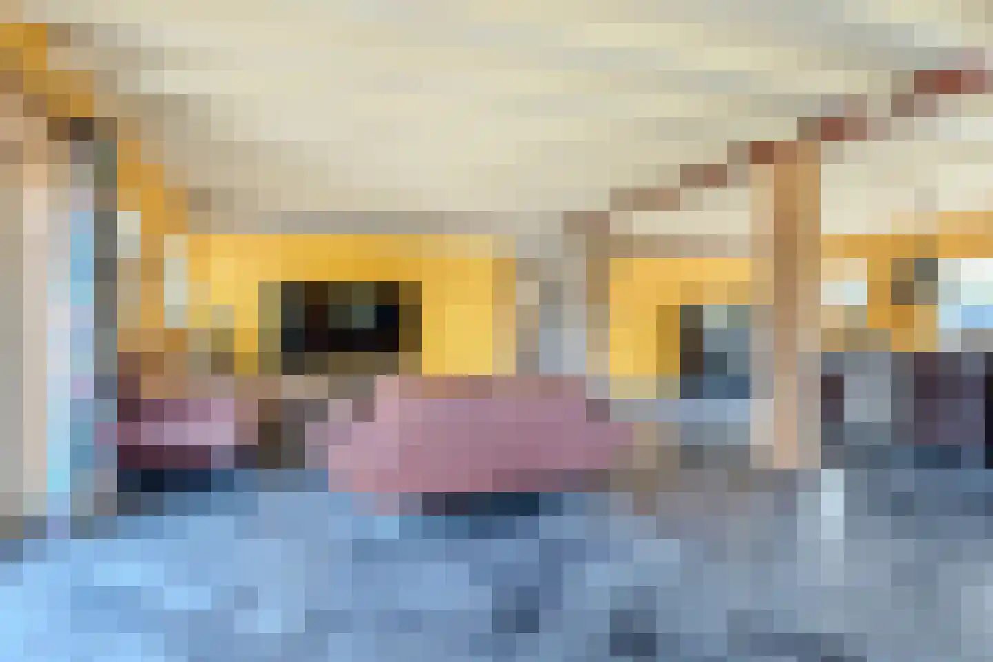 Woestenes 7 Eibergen thumbnail 9