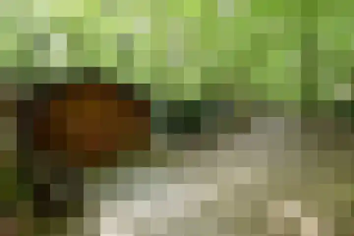 Woesterbergweg 27 Emst thumbnail 10