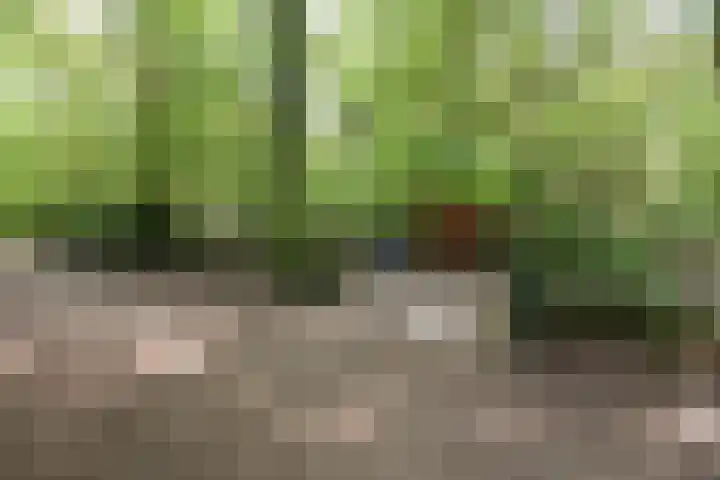 Woesterbergweg 27 Emst thumbnail 11