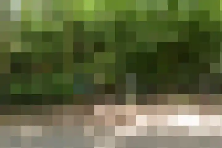 Woesterbergweg 27 Emst thumbnail 12