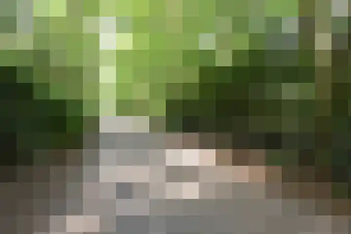 Woesterbergweg 27 Emst thumbnail 13