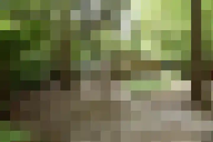 Woesterbergweg 27 Emst thumbnail 4