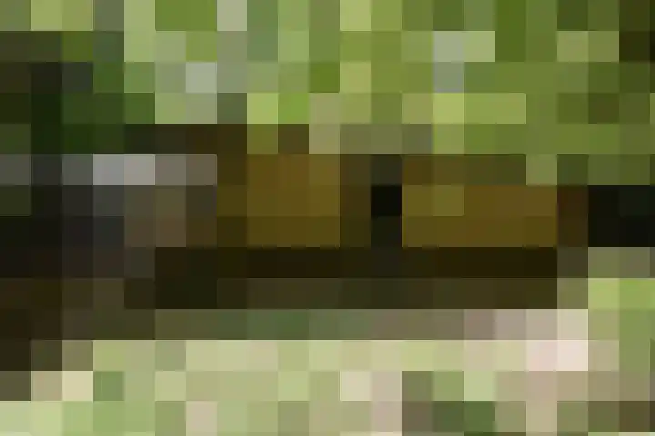 Woesterbergweg 27 Emst thumbnail 5