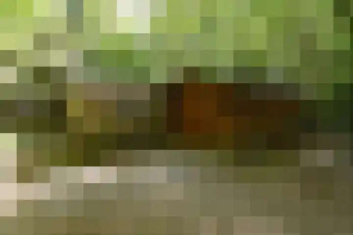 Woesterbergweg 27 Emst thumbnail 7