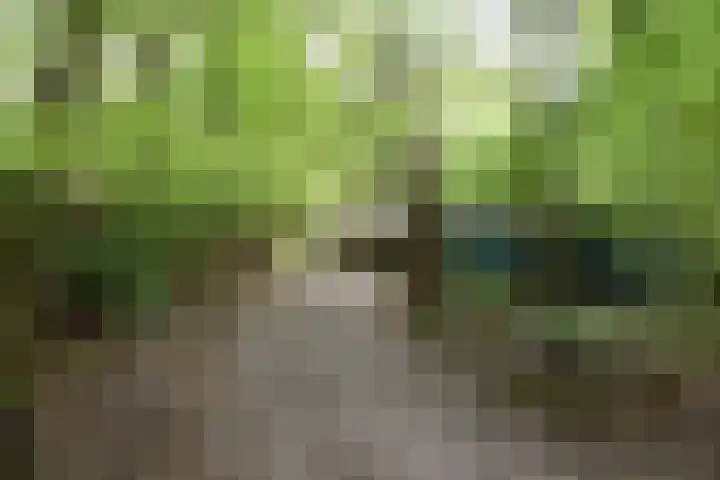 Woesterbergweg 27 Emst thumbnail 8