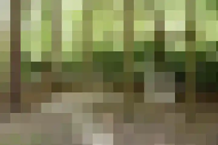 Woesterbergweg 27 Emst thumbnail 9