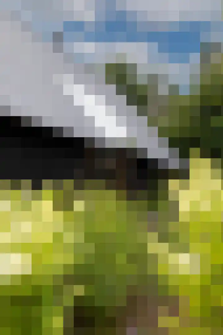Woesterweg 13 Emst thumbnail 10
