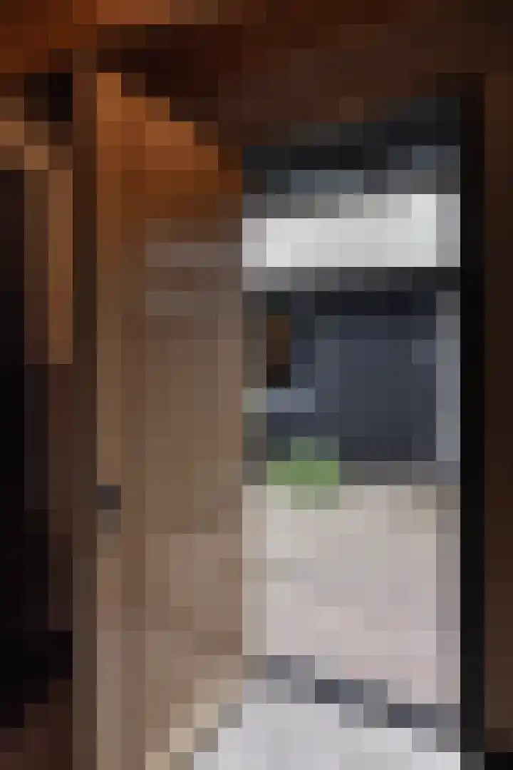Woesterweg 13 Emst thumbnail 15