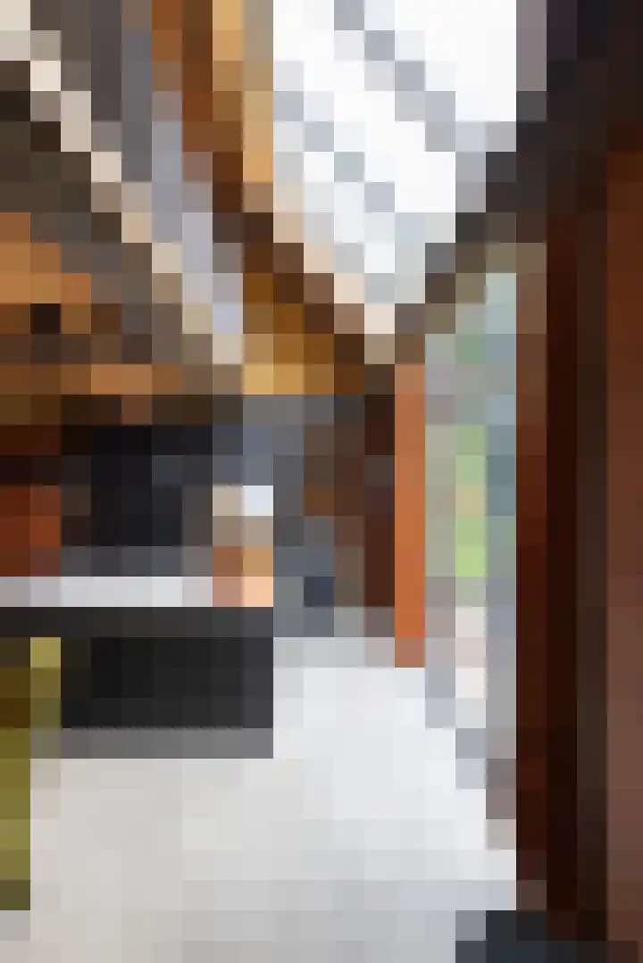 Woesterweg 13 Emst thumbnail 18