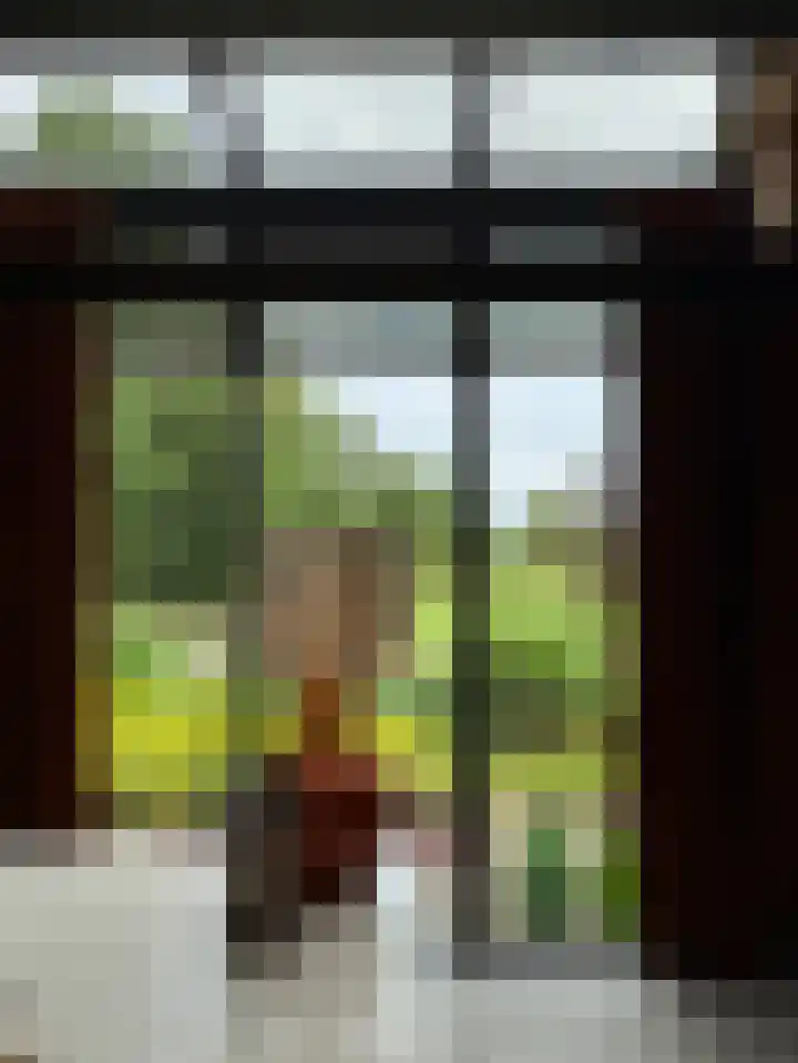 Woesterweg 13 Emst thumbnail 19