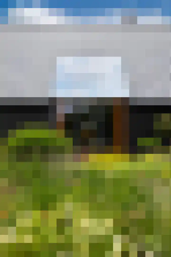 Woesterweg 13 Emst thumbnail 20