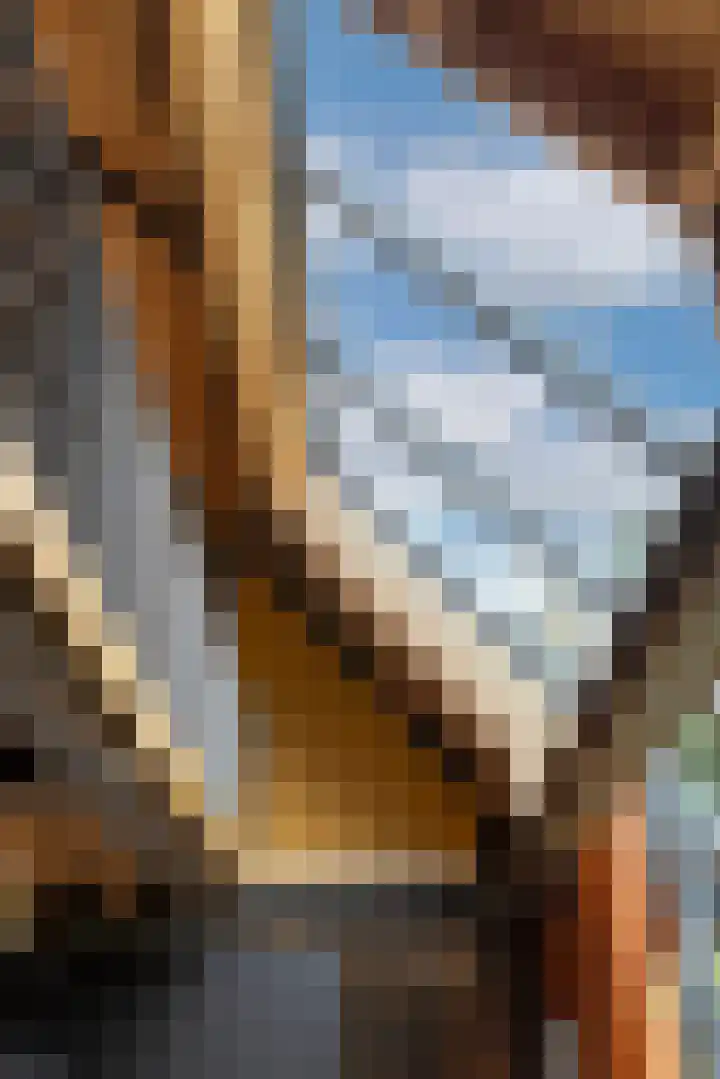 Woesterweg 13 Emst thumbnail 25