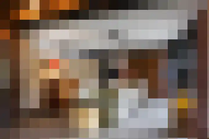 Woesterweg 13 Emst thumbnail 29