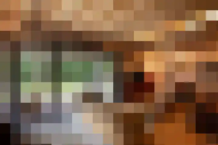Woesterweg 13 Emst thumbnail 33