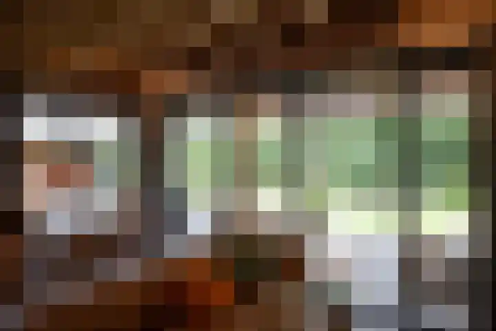 Woesterweg 13 Emst thumbnail 36