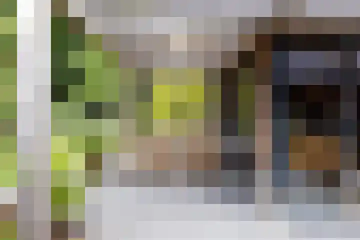 Woesterweg 13 Emst thumbnail 37