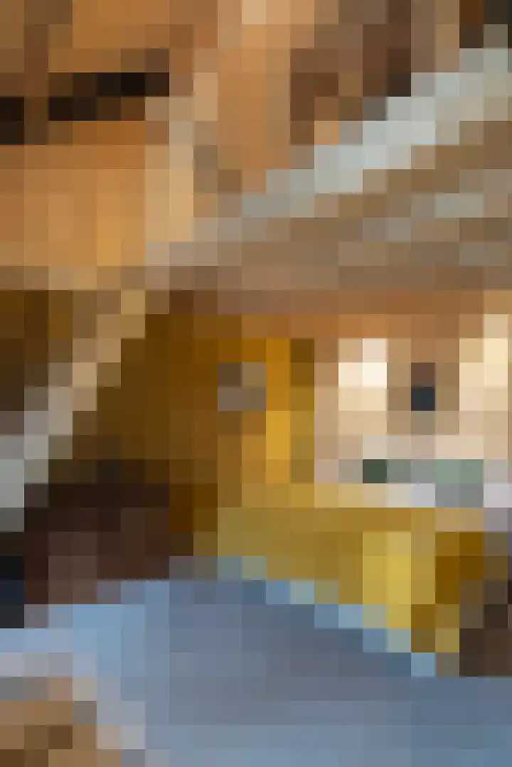 Woesterweg 13 Emst thumbnail 39