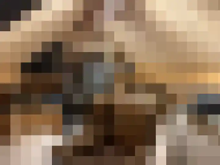 Woesterweg 13 Emst thumbnail 42