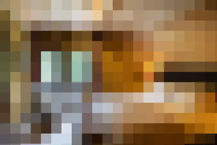 Woesterweg 13 Emst thumbnail 47