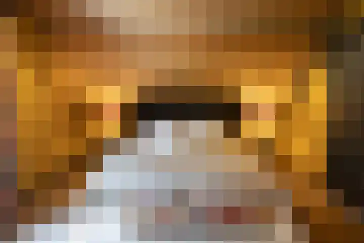Woesterweg 13 Emst thumbnail 48