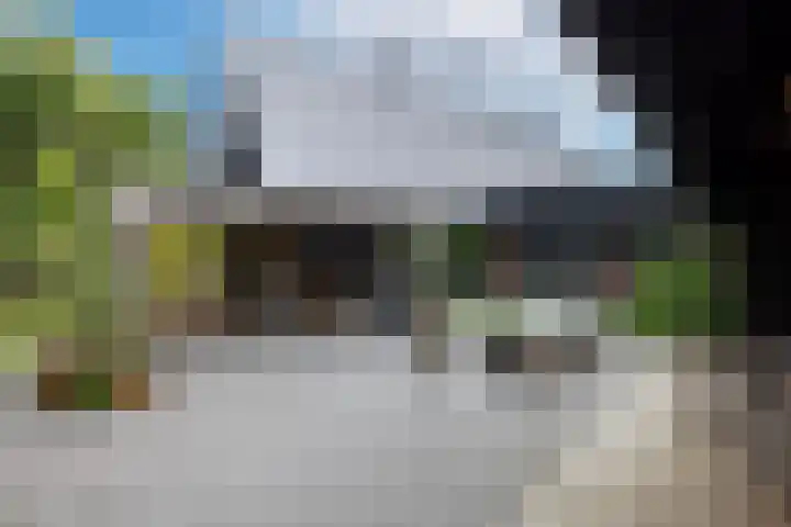 Woesterweg 13 Emst thumbnail 5