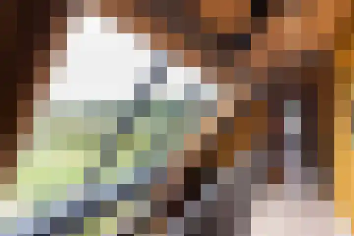 Woesterweg 13 Emst thumbnail 51