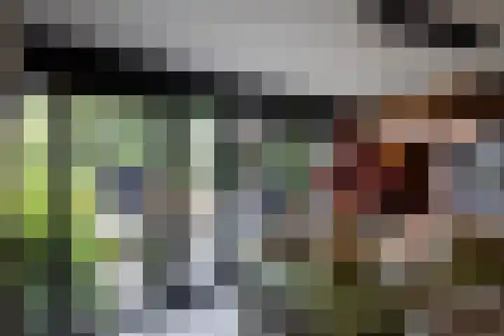Woesterweg 13 Emst thumbnail 6