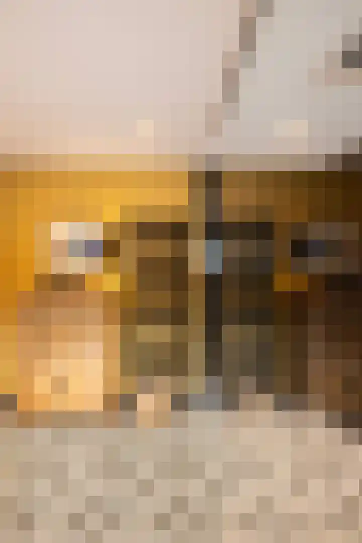 Woesterweg 13 Emst thumbnail 62