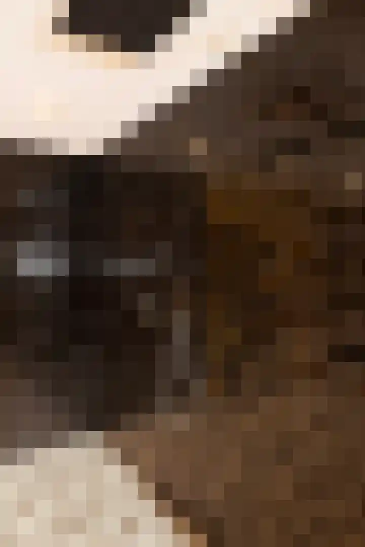 Woesterweg 13 Emst thumbnail 63