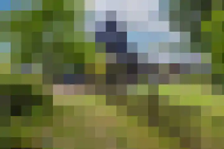 Woesterweg 13 Emst thumbnail 64