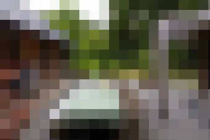 Woesterweg 13 Emst thumbnail 66