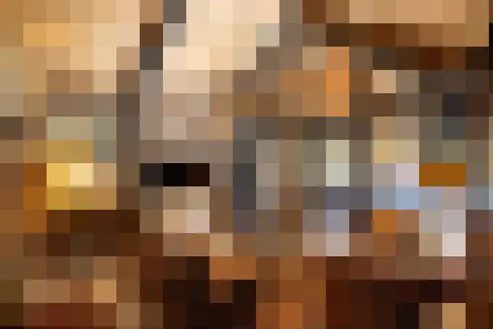 Woesterweg 13 Emst thumbnail 69
