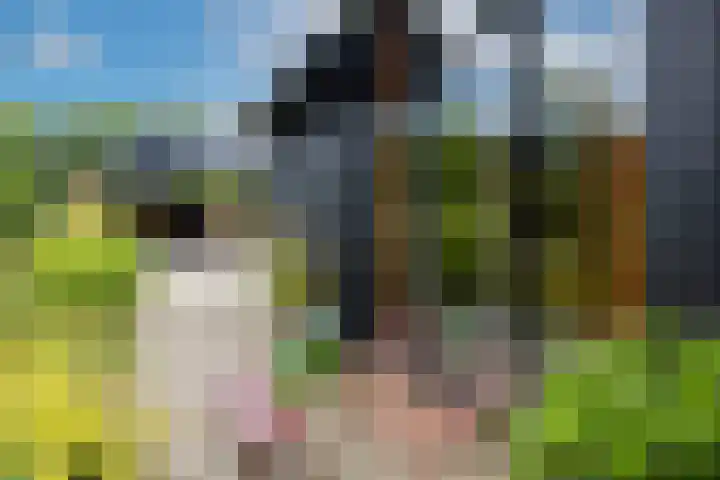 Woesterweg 13 Emst thumbnail 74