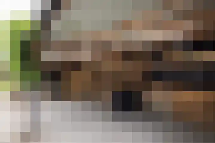 Woesterweg 13 Emst thumbnail 77