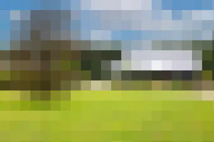 Woesterweg 13 Emst thumbnail 8
