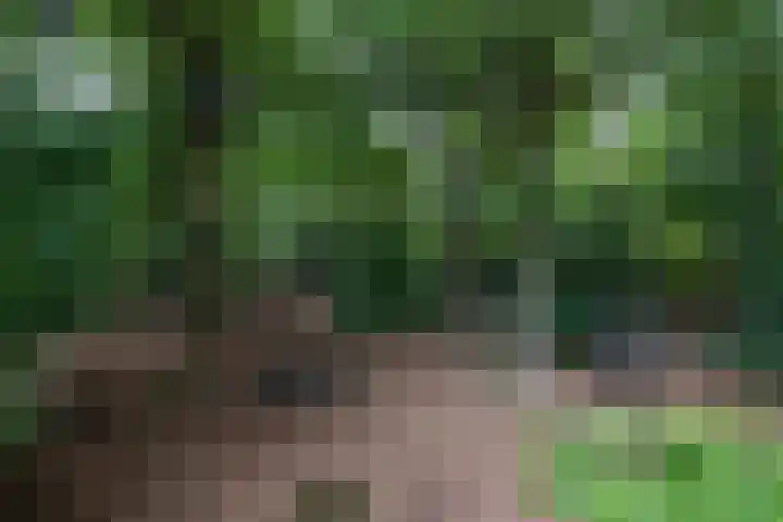 Woesterweg 13 Emst thumbnail 83