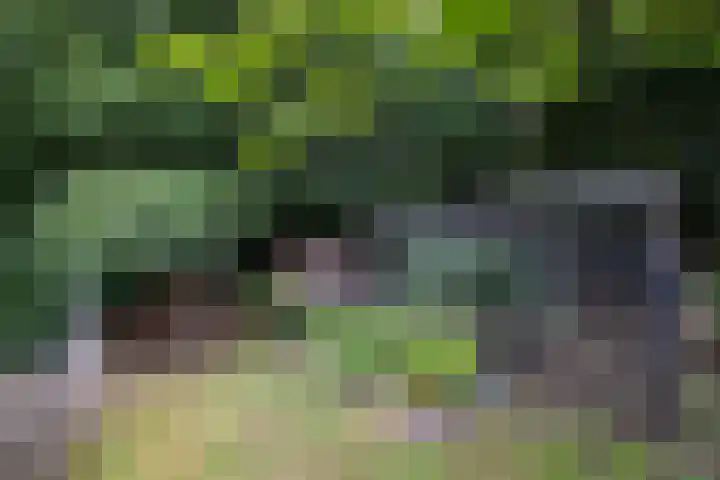 Woesterweg 13 Emst thumbnail 84