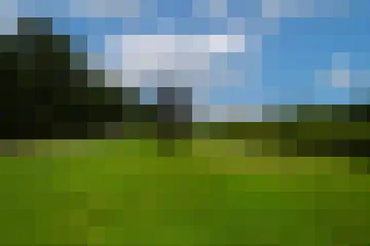 Woesterweg 13 Emst thumbnail 85