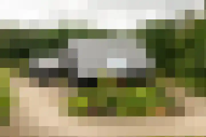 Woesterweg 13 Emst thumbnail 86
