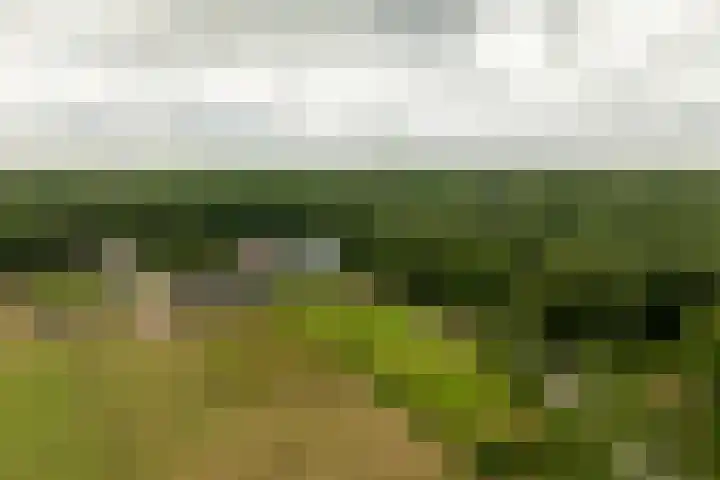 Woesterweg 13 Emst thumbnail 87