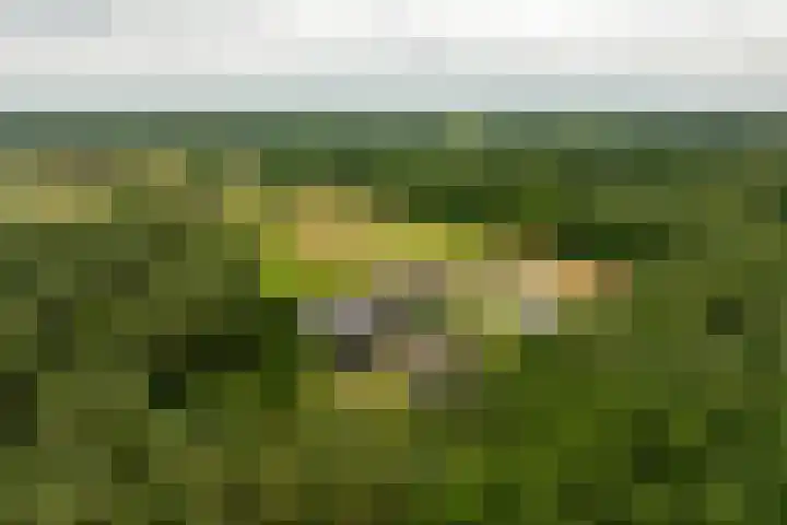Woesterweg 13 Emst thumbnail 88