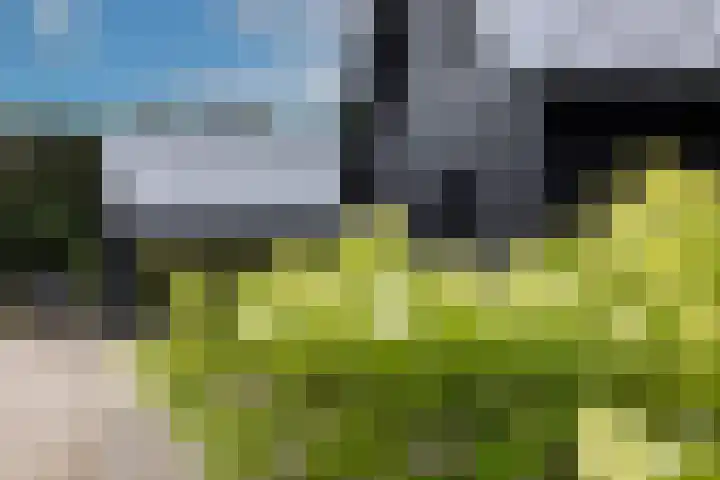 Woesterweg 13 Emst thumbnail 9