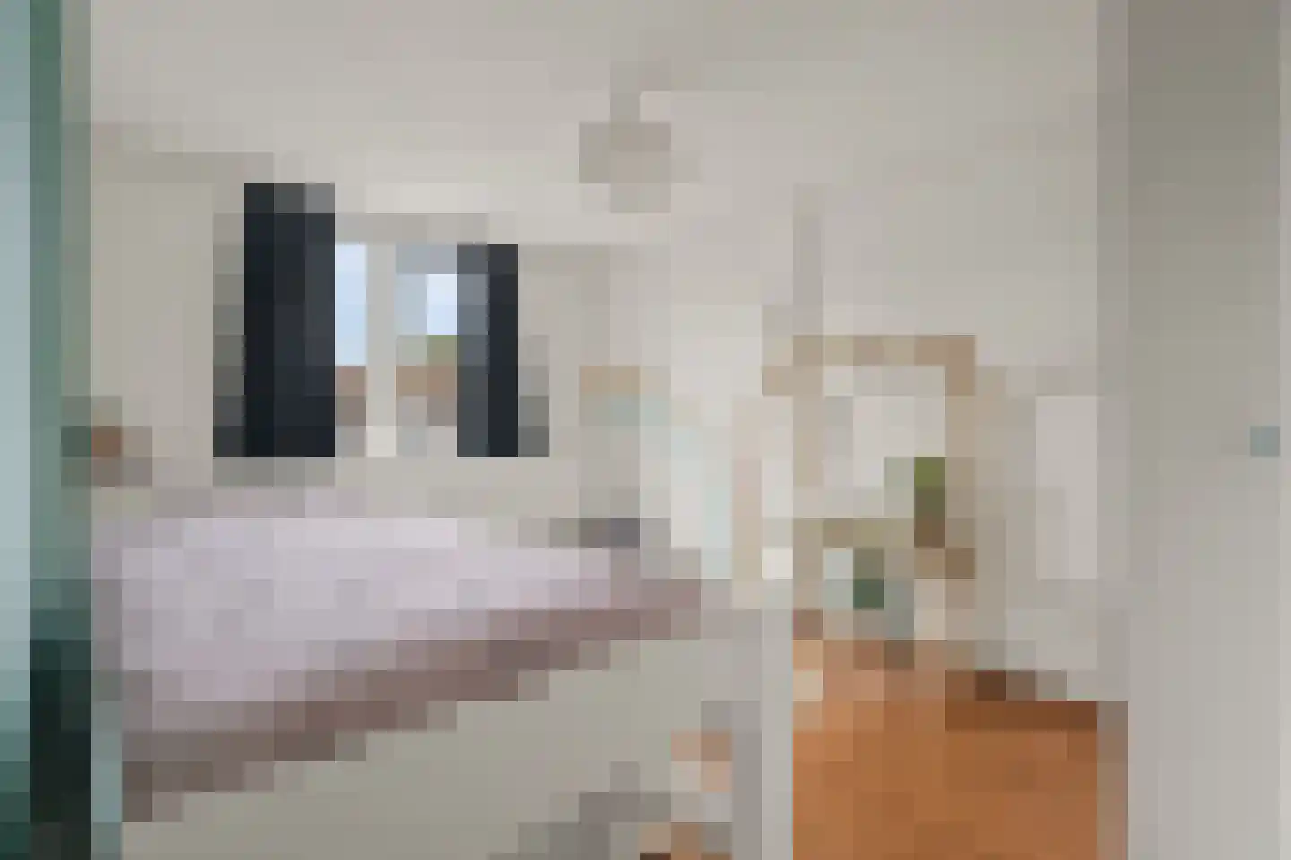 Woestijgerweg 11 Amersfoort thumbnail 32