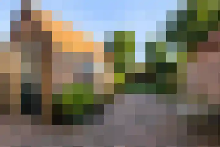 Woestijgerweg 128 Amersfoort thumbnail 18