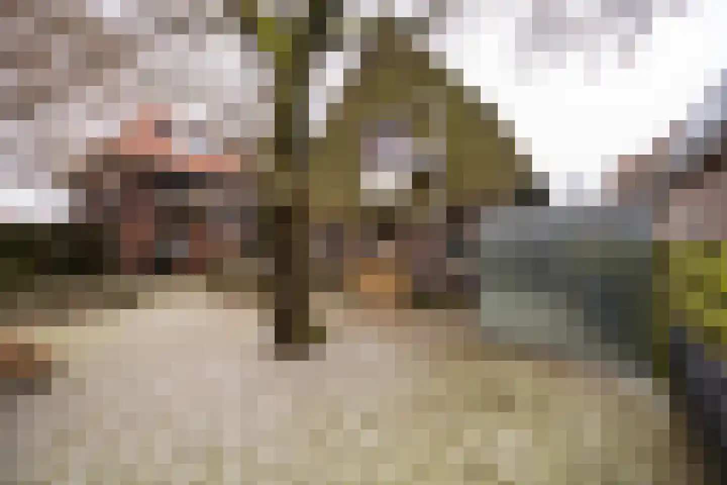 Woestijgerweg 137 Amersfoort thumbnail 27
