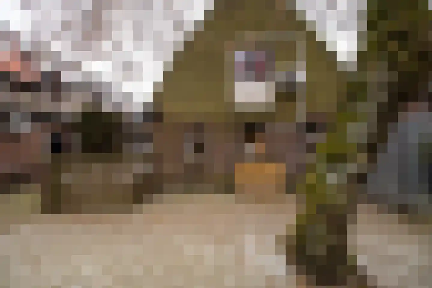 Woestijgerweg 137 Amersfoort thumbnail 31